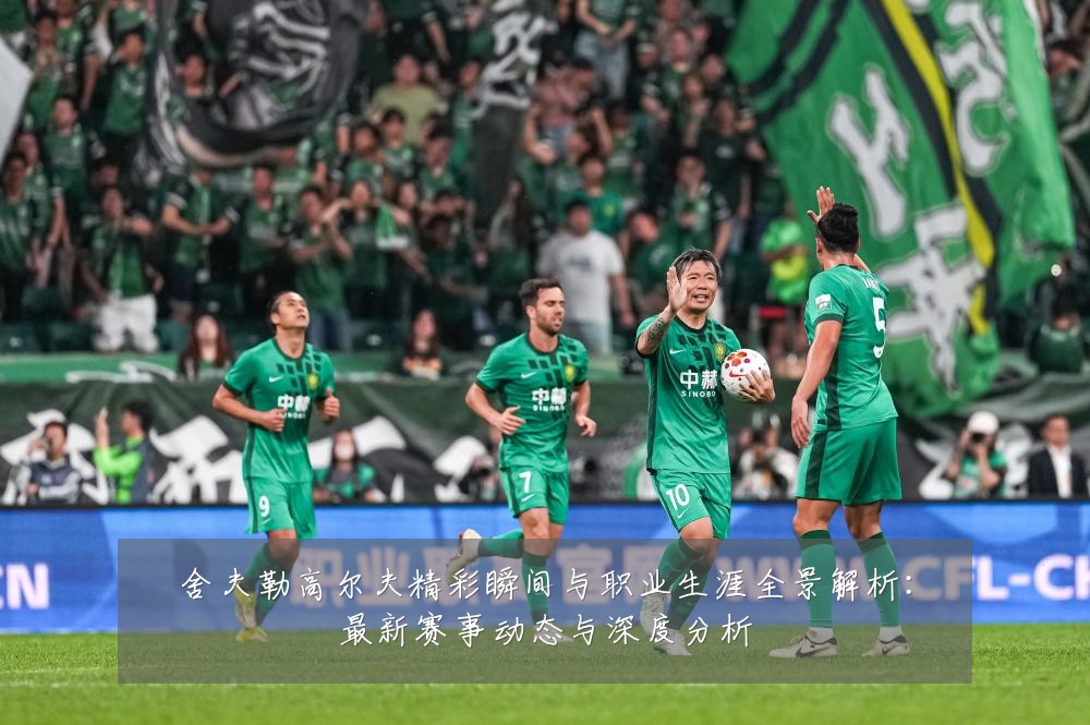 舍夫勒高尔夫精彩瞬间与职业生涯全景解析：最新赛事动态与深度分析